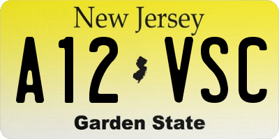 NJ license plate A12VSC