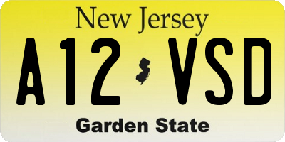 NJ license plate A12VSD