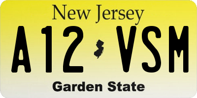 NJ license plate A12VSM