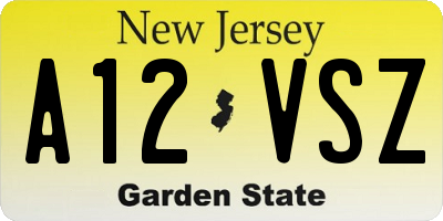 NJ license plate A12VSZ