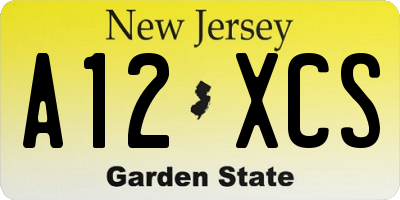 NJ license plate A12XCS