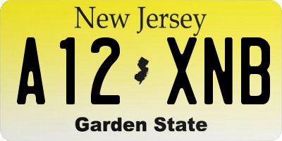 NJ license plate A12XNB