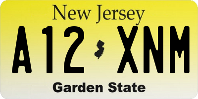 NJ license plate A12XNM