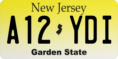 NJ license plate A12YDI