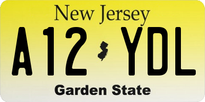 NJ license plate A12YDL