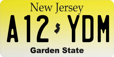 NJ license plate A12YDM