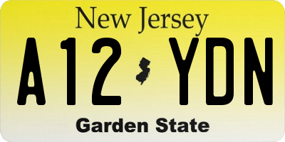 NJ license plate A12YDN