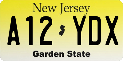 NJ license plate A12YDX