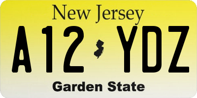 NJ license plate A12YDZ
