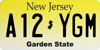 NJ license plate A12YGM