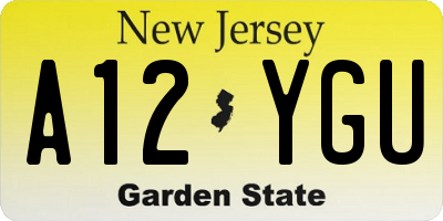 NJ license plate A12YGU