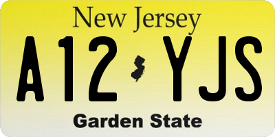 NJ license plate A12YJS