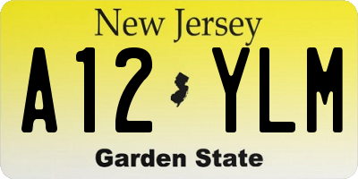 NJ license plate A12YLM