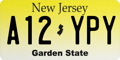 NJ license plate A12YPY