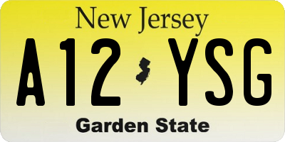 NJ license plate A12YSG