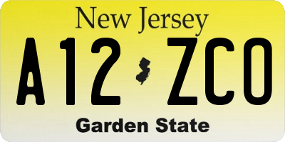NJ license plate A12ZCO
