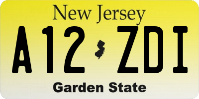 NJ license plate A12ZDI