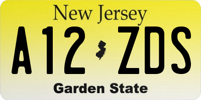 NJ license plate A12ZDS
