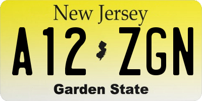 NJ license plate A12ZGN