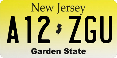 NJ license plate A12ZGU