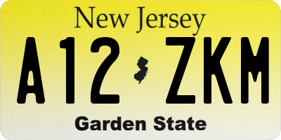 NJ license plate A12ZKM