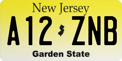 NJ license plate A12ZNB