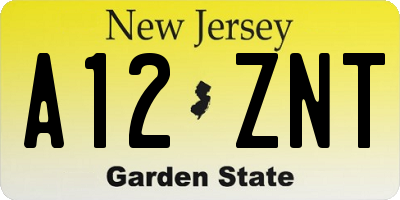 NJ license plate A12ZNT