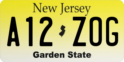NJ license plate A12ZOG
