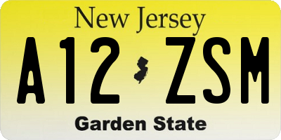 NJ license plate A12ZSM