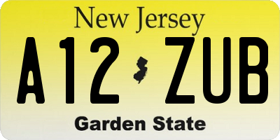 NJ license plate A12ZUB