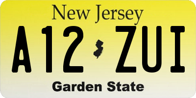 NJ license plate A12ZUI