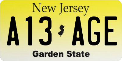 NJ license plate A13AGE