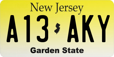 NJ license plate A13AKY