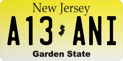 NJ license plate A13ANI
