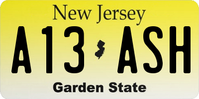 NJ license plate A13ASH