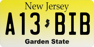 NJ license plate A13BIB