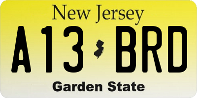 NJ license plate A13BRD