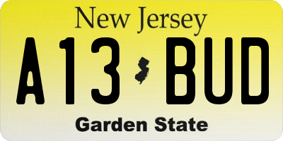 NJ license plate A13BUD