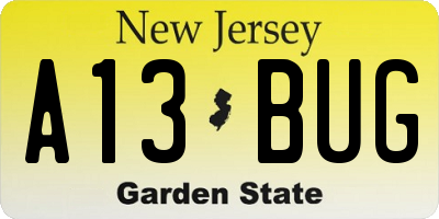 NJ license plate A13BUG