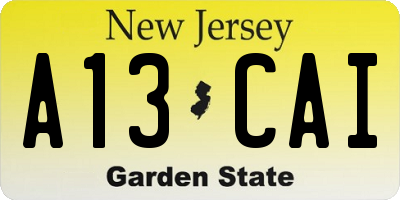 NJ license plate A13CAI