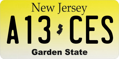 NJ license plate A13CES