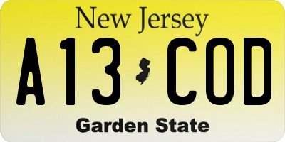 NJ license plate A13COD
