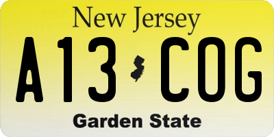 NJ license plate A13COG