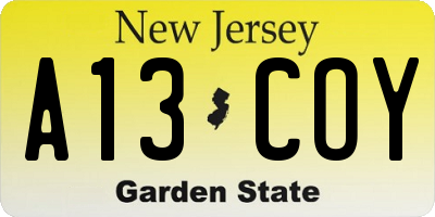 NJ license plate A13COY
