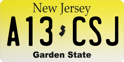 NJ license plate A13CSJ