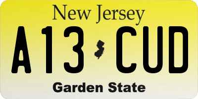 NJ license plate A13CUD