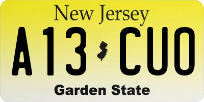 NJ license plate A13CUO
