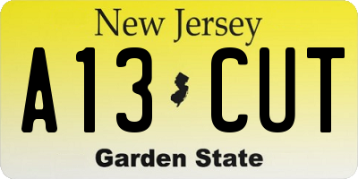 NJ license plate A13CUT