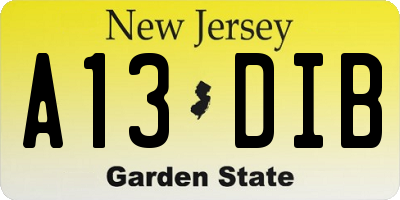 NJ license plate A13DIB