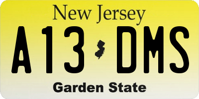 NJ license plate A13DMS